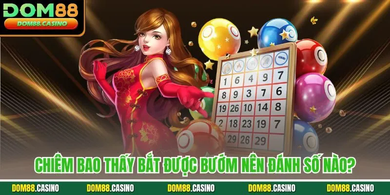 Chiêm bao thấy bắt được bướm nên đánh số nào?