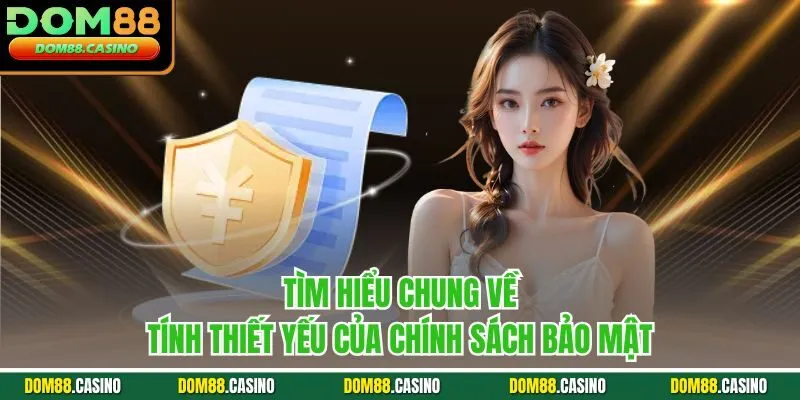 Tìm hiểu chung về tính thiết yếu của chính sách bảo mật